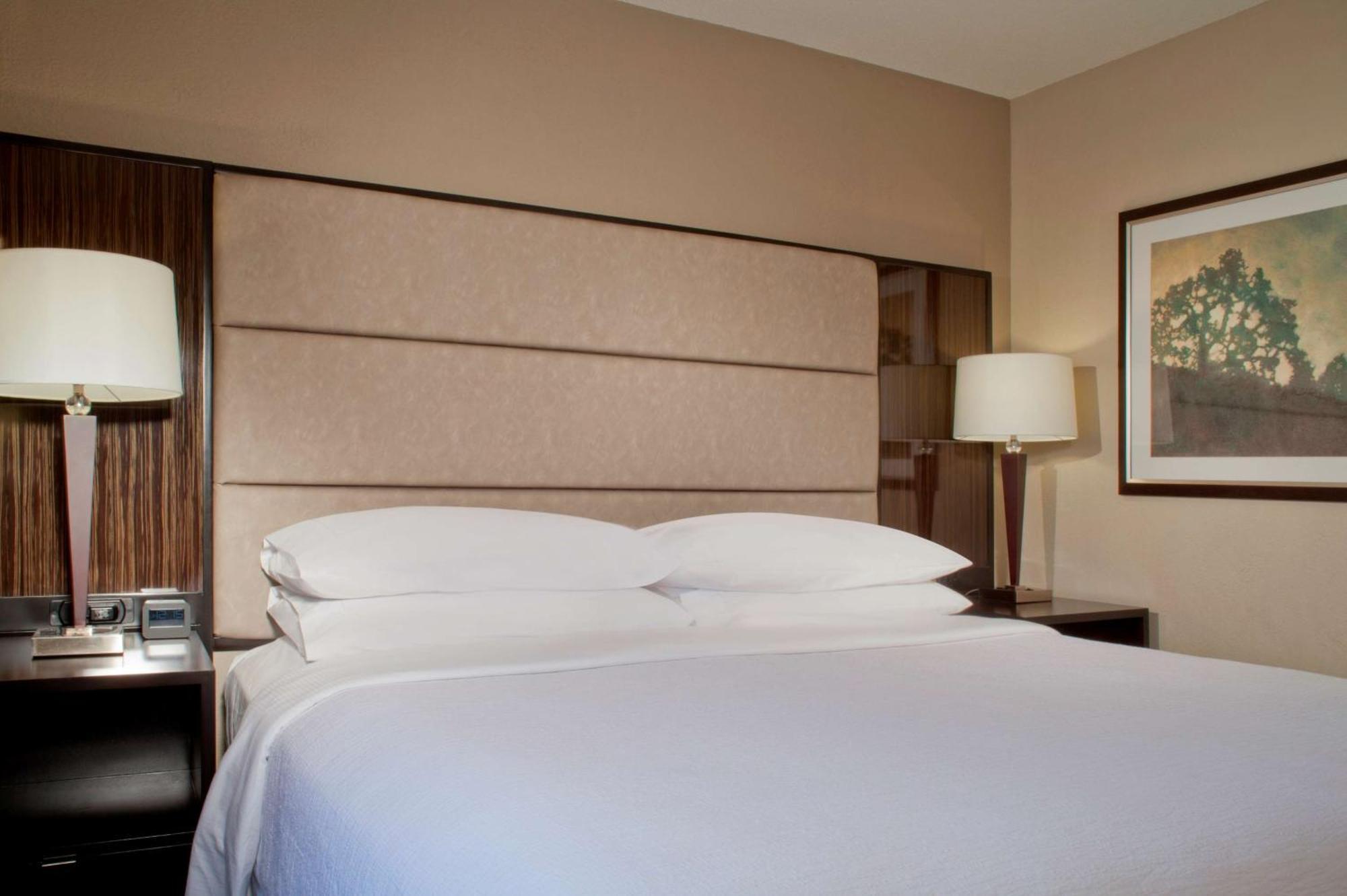 Embassy Suites By Hilton Houston Near The Galleria Esterno foto